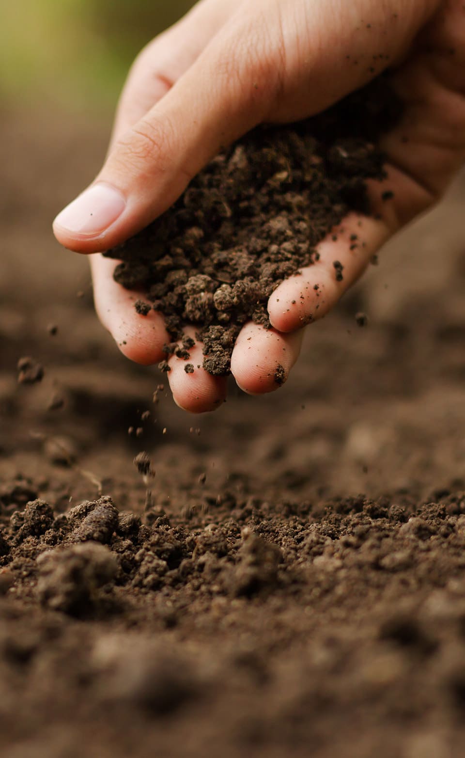 ORGANIC FARMING
