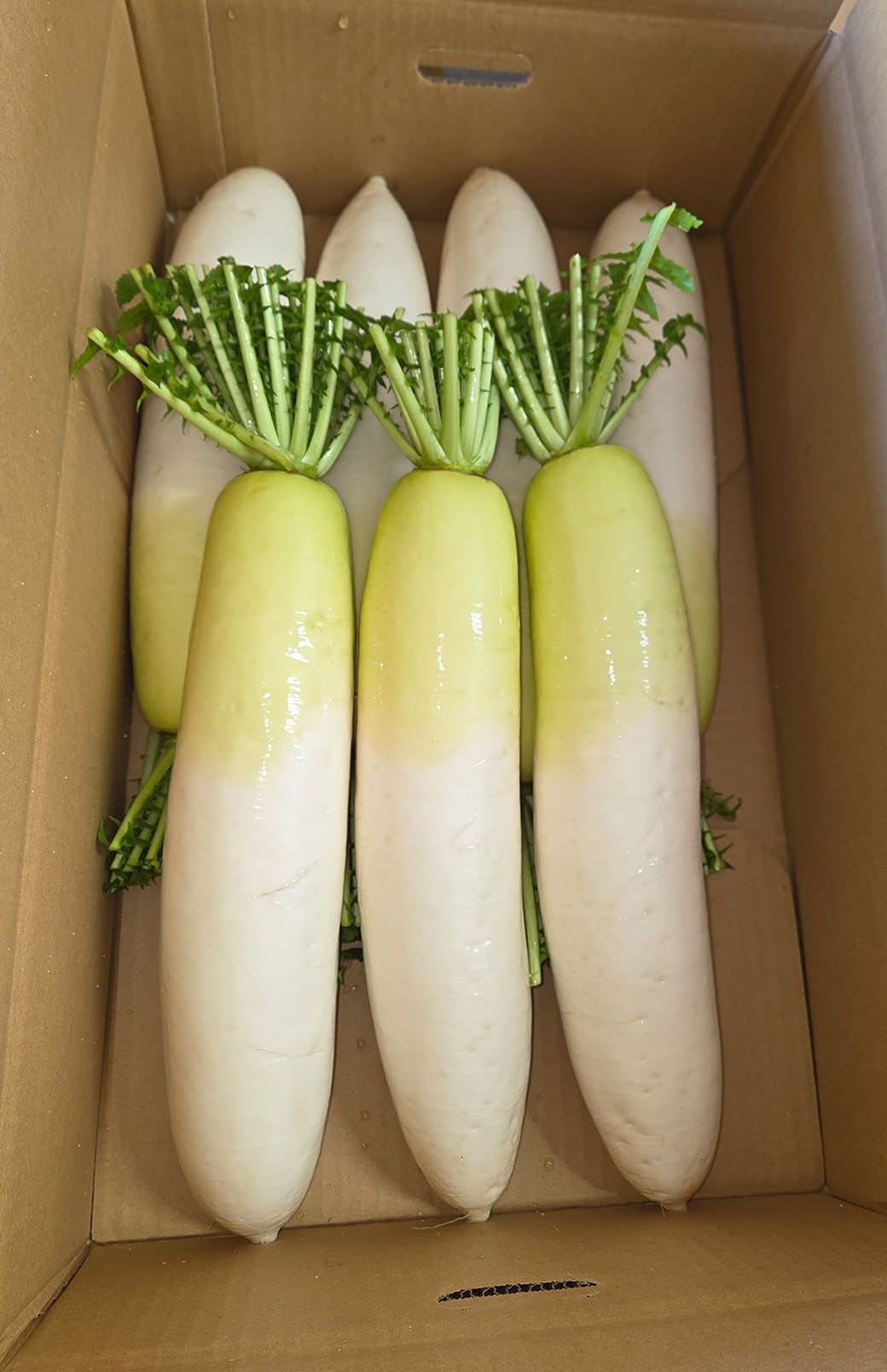 作り手から直接届く、鮮度へのこだわり。